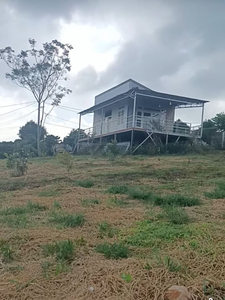 Nhà tiền chế tại Phúc Thọ, Lâm Hà 1030m² giá chỉ 600 triệu - Sổ đỏ chính chủ!