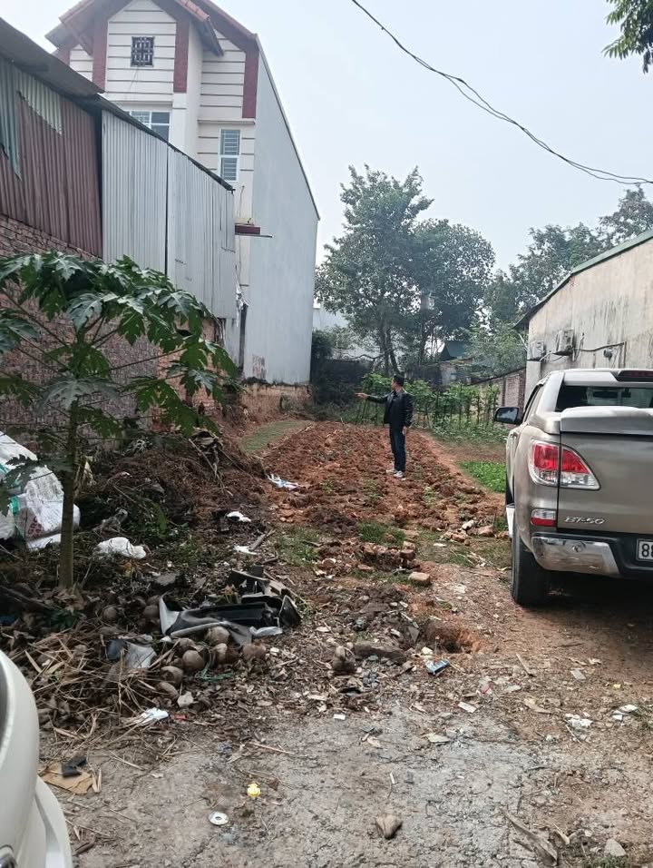 Đất nền Đạo Tú, Tam Dương 267m² giá 8 tỷ - Đường lớn kinh doanh sầm uất!