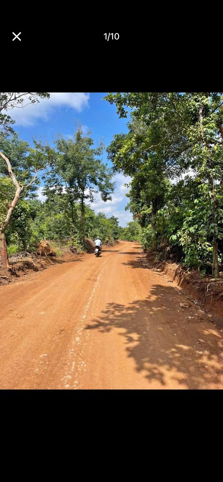 Đất nền Cư Suê, Cư M'gar 1.7 sào giá 990 triệu - Mặt tiền 16m, view đẹp!