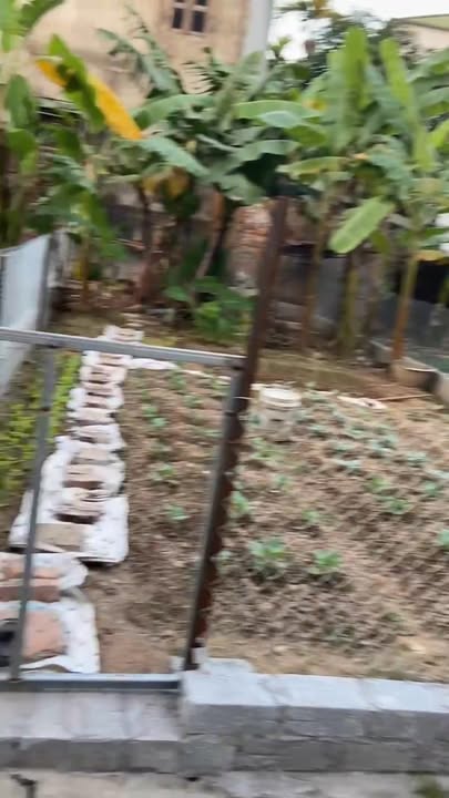 Đất giãn dân Đồng Lồ Thúy Lai, Thạch Thất 64m² giá 3 tỷ - Đầu tư sinh lời tiềm năng!