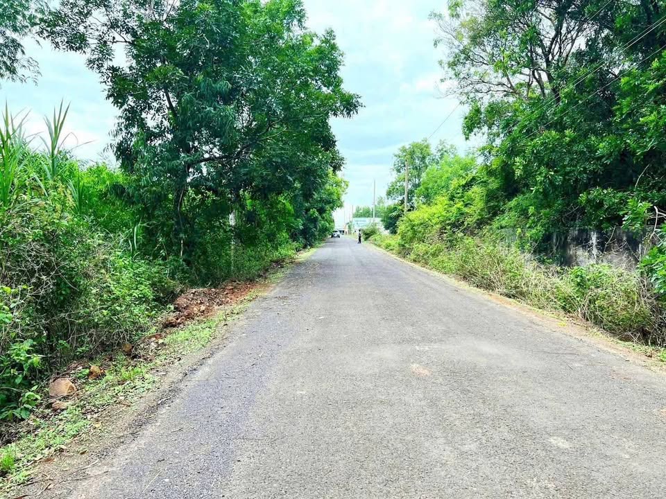 Đất nền 1000m² mặt tiền nhựa Đất Đỏ - Giá chỉ từ 1.3 tỷ!