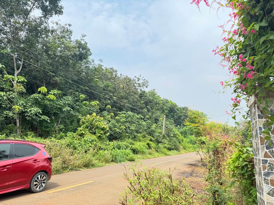 Đất nền 1,1 sào tại xã Long Phước, Bà Rịa - 3,95 tỷ - Sổ đỏ chính chủ!