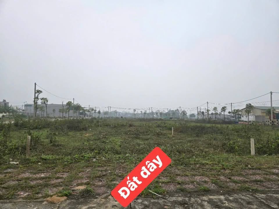 Đất nền Bảo Phác, Hợp Châu, Tam Đảo 152m² giá 3 tỷ - Vị trí đắc địa, không thể bỏ lỡ!