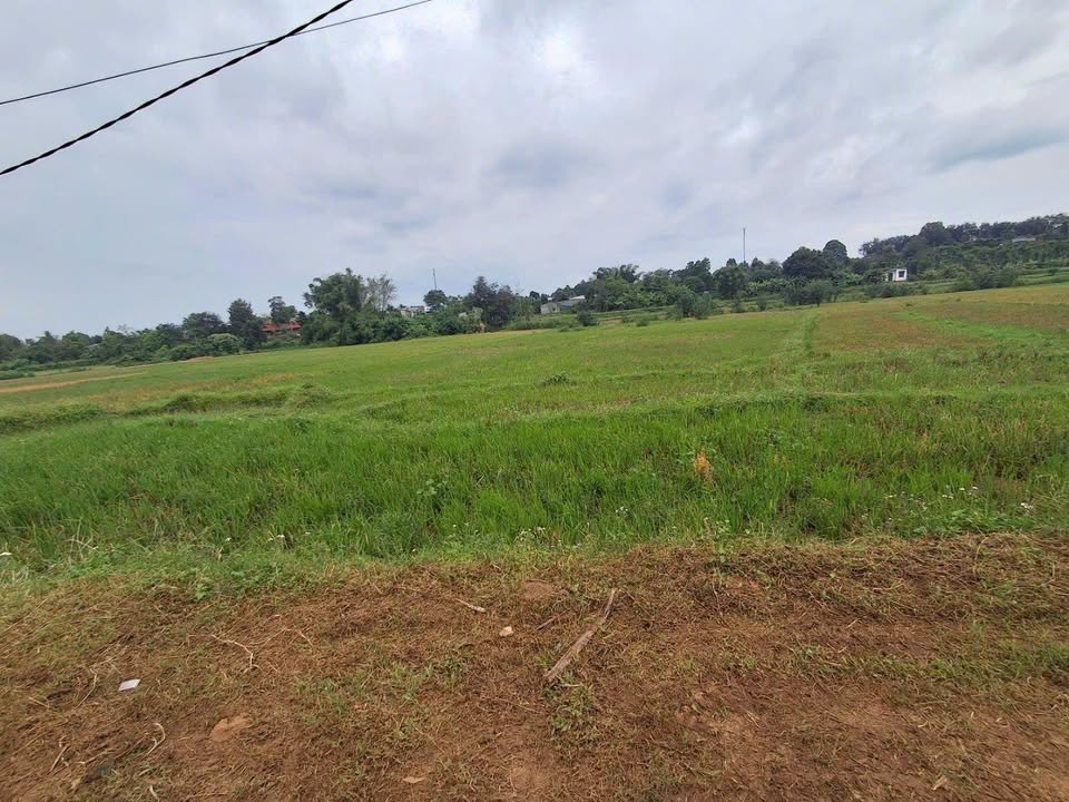 Đất nền Ea Kao Buôn Ma Thuột 400m² giá 1.5 tỷ - Đầu tư sinh lời ngay!