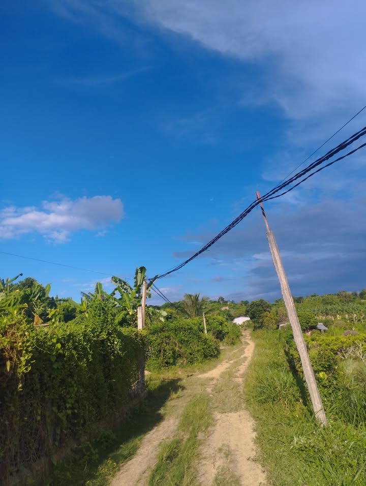 Trang trại ven sông Krông Năng 1.4ha giá 2.999 tỷ - Đầu tư sinh lời lý tưởng!