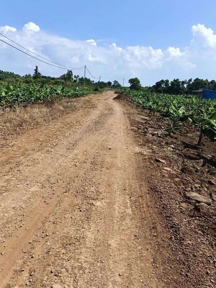 Đất nền Bàu Hàm, Trảng Bom 30.384m² giá 3.79 tỷ - Sổ đỏ chính chủ, cách đường nhựa 150m!