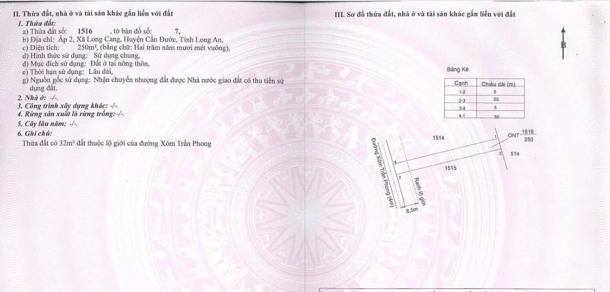 Đất nền 250m² tại Long Cang, Cần Đước - Giá chỉ 1.4 tỷ, thương lượng nhẹ!