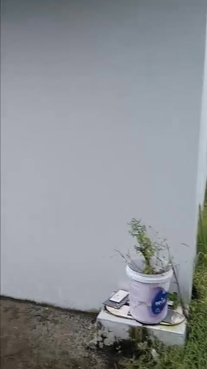 Nhà cấp bốn An Lục Long, Châu Thành, Long An 113m² giá 800 triệu - Chính chủ bán gấp!