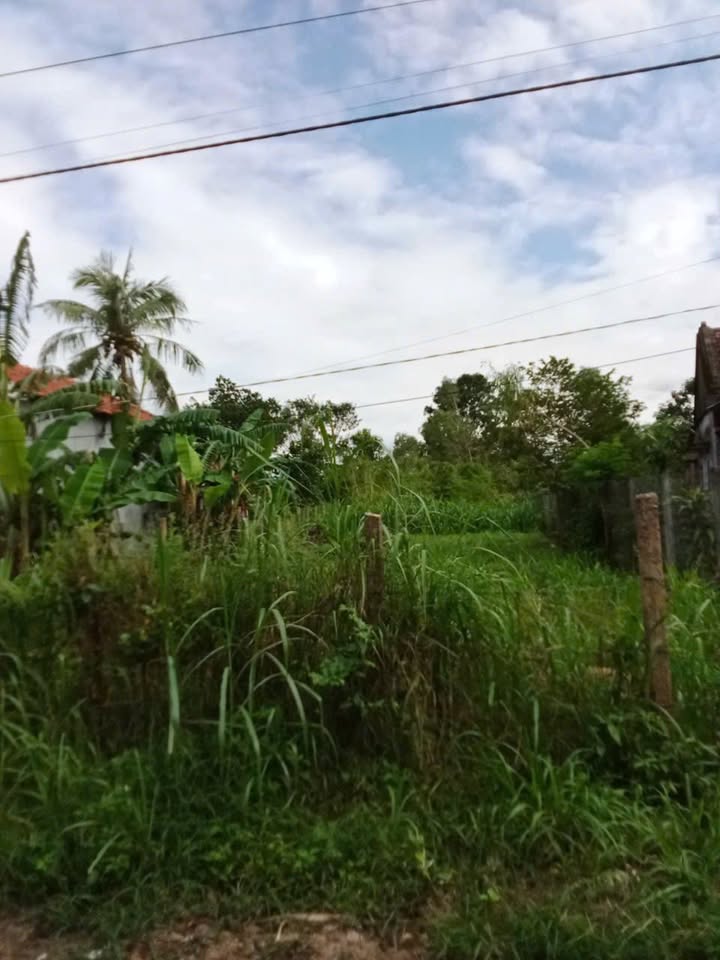 Đất thổ cư An Hòa, Đức Bình Tây, Sông Hinh 99m² - Giá chỉ 450 triệu, thương lượng!