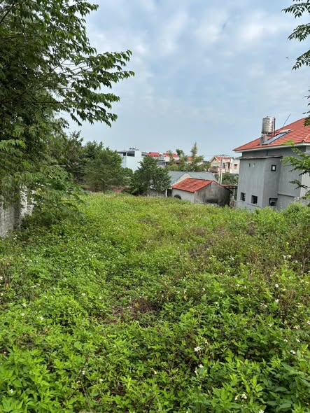 Biệt thự nhà vườn Phương Lạn 1 1067m² giá 4 tỷ - Tiện ích đầy đủ, pháp lý rõ ràng!