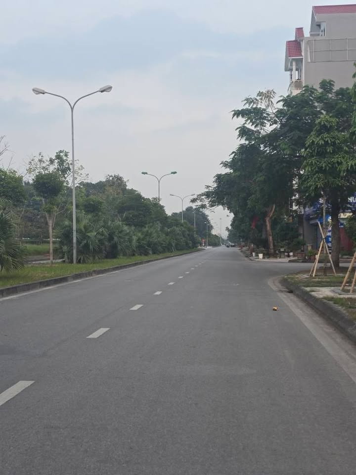 Đất nền khu đô thị Vạn Lộc Hải Dương 69.75m² giá 4 tỷ - Vị trí đẹp kinh doanh thuận lợi!