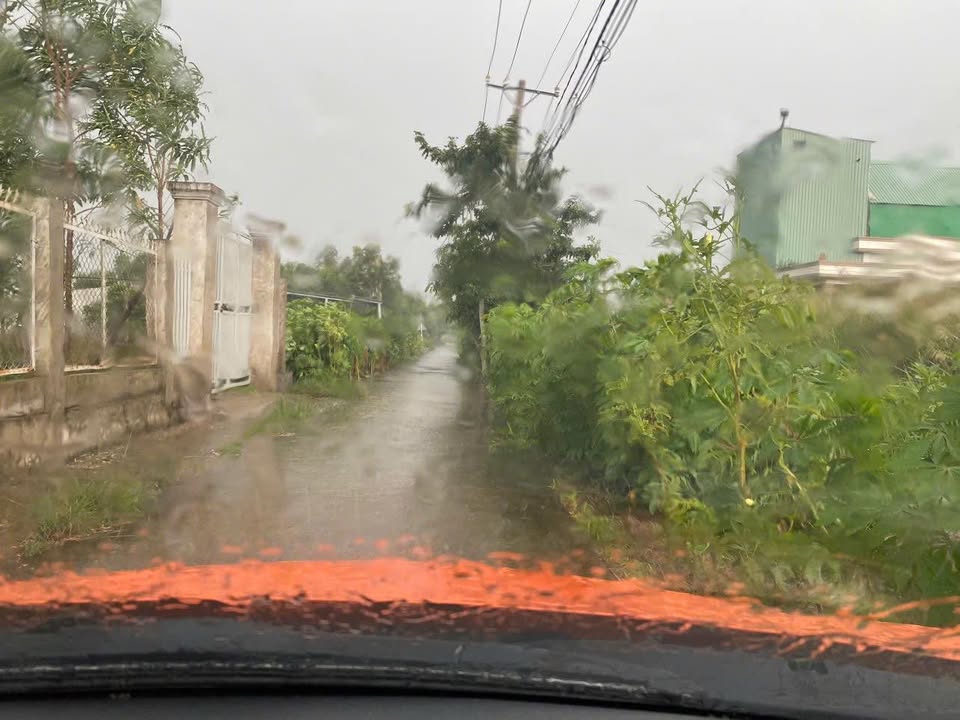 Đất thổ cư Hiệp Phước Nhà Bè 1224m² giá 8.5 tỷ - Cơ hội đầu tư tuyệt vời!