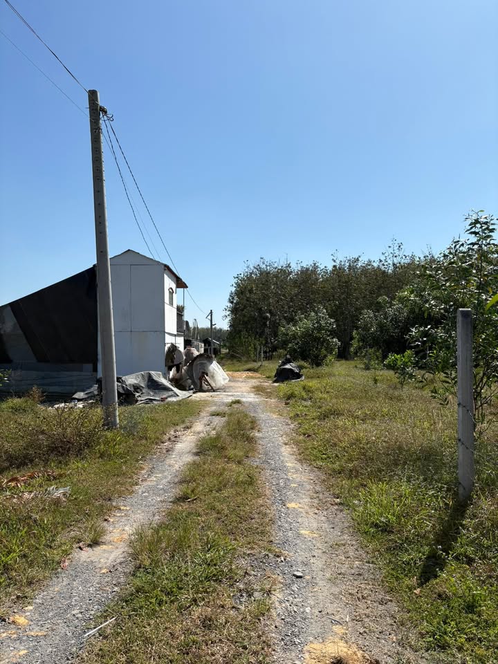 Đất nền Bình Minh, Tây Ninh 520m² giá 320 triệu - Cơ hội đầu tư hấp dẫn!