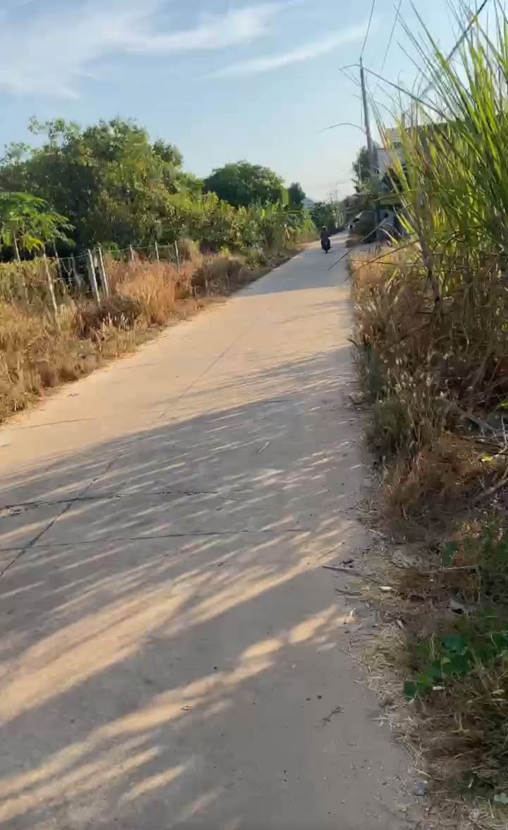 Đất Tân Hà, Tân Châu, Tây Ninh 924m² giá 80 triệu - Đường bê tông 2 mặt tiền