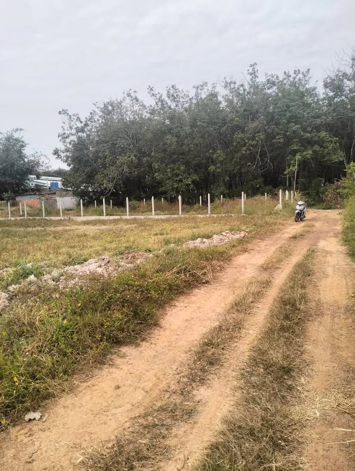 Đất nền Phan D, Dương Minh Châu, Tây Ninh 2000m² - Giá thương lượng hấp dẫn!