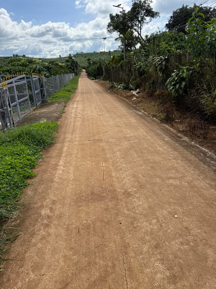 Đất nền Tân Hà 1000m² chỉ 1.1 tỷ - Đầu tư sinh lời ngay hôm nay!