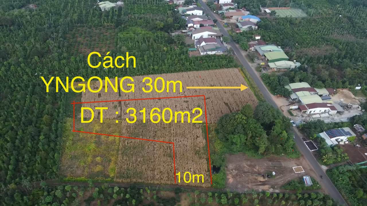 Đất nền Quảng Hiệp, Cư M'gar 3160m² giá 1.35 tỷ - Đất đỏ bazan, pháp lý đầy đủ!