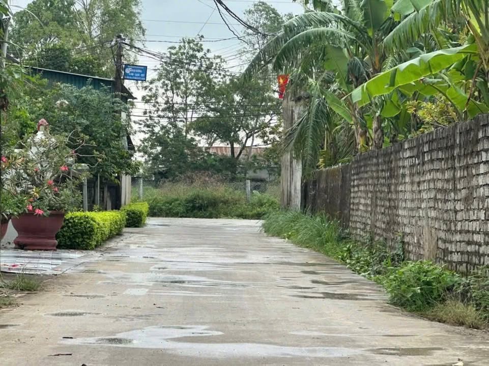 Đất nền Quỳnh Bảng 480m² giá 2 tỷ - Cơ hội đầu tư không thể bỏ lỡ!