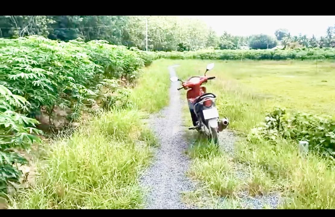 Đất nền Hảo Đước, Tây Ninh 210m² giá 250 triệu - Cơ hội đầu tư tuyệt vời!