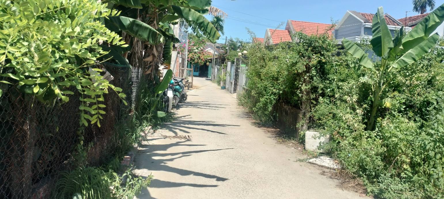 Đất nền 321m² tại Dương Sơn, Hòa Xuân - Gần đường vành đai, giá thỏa thuận!