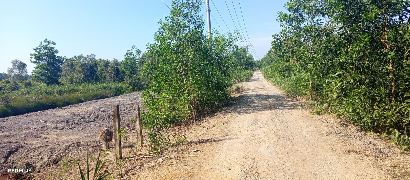 Đất nền thổ cư 25m² tại khu phố 3, Mỹ Phước - Giá chỉ 230 triệu, thương lượng chính chủ!