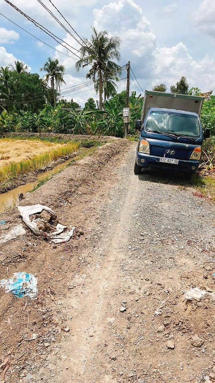 Đất trồng cây 5000m² xã Hựu Thạnh giá 6.3 tỷ - Cơ hội đầu tư sinh lời!