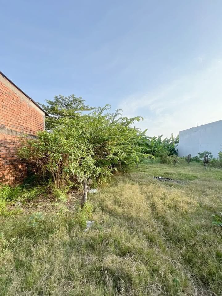 Đất thổ cư chính chủ xã Phước Lợi, Bến Lức, 492m² - Giá thỏa thuận hấp dẫn!