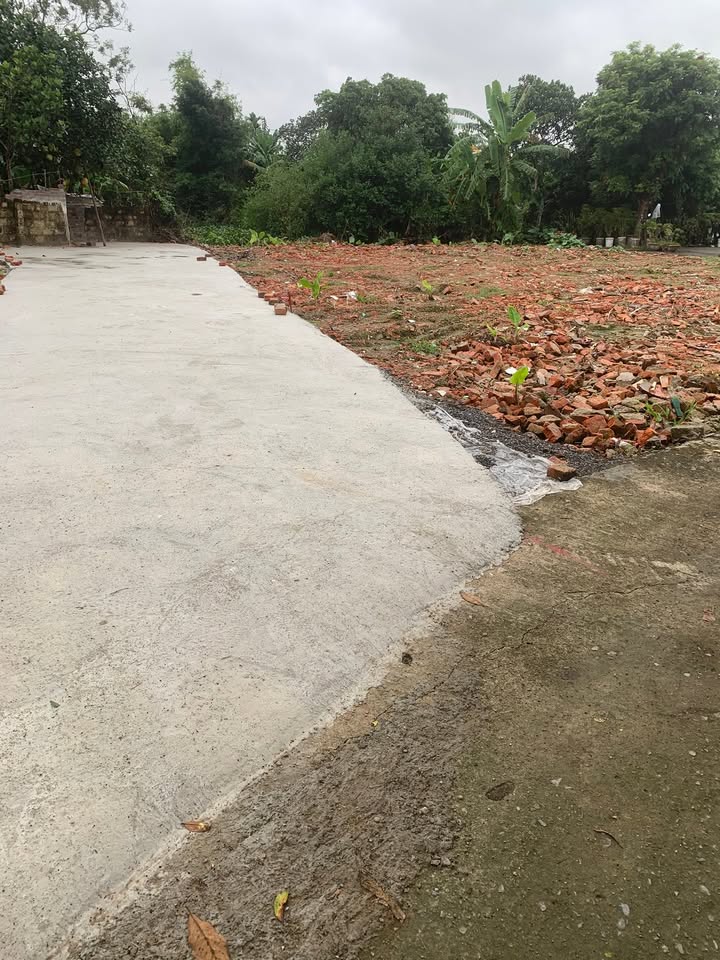 Đất nền Vũ Bản, Bình Lục 75m² giá chỉ 450 triệu - Đầu tư sinh lời ngay!