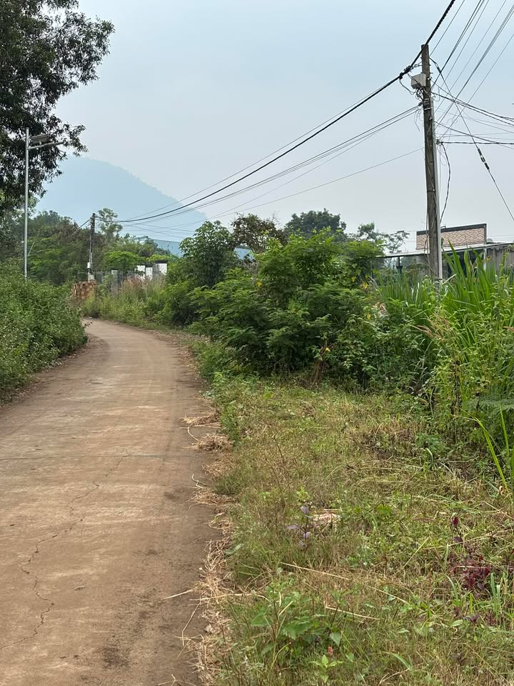 Đất nền Xuân Trường 248m² giá 700 triệu - Đường bê tông, khu dân cư lý tưởng!