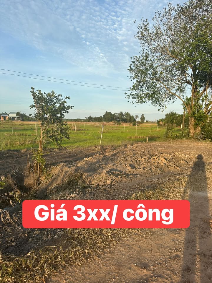 Đất nền Suối Đá, Dương Minh Châu 3000m² - Giá đầu tư hấp dẫn!