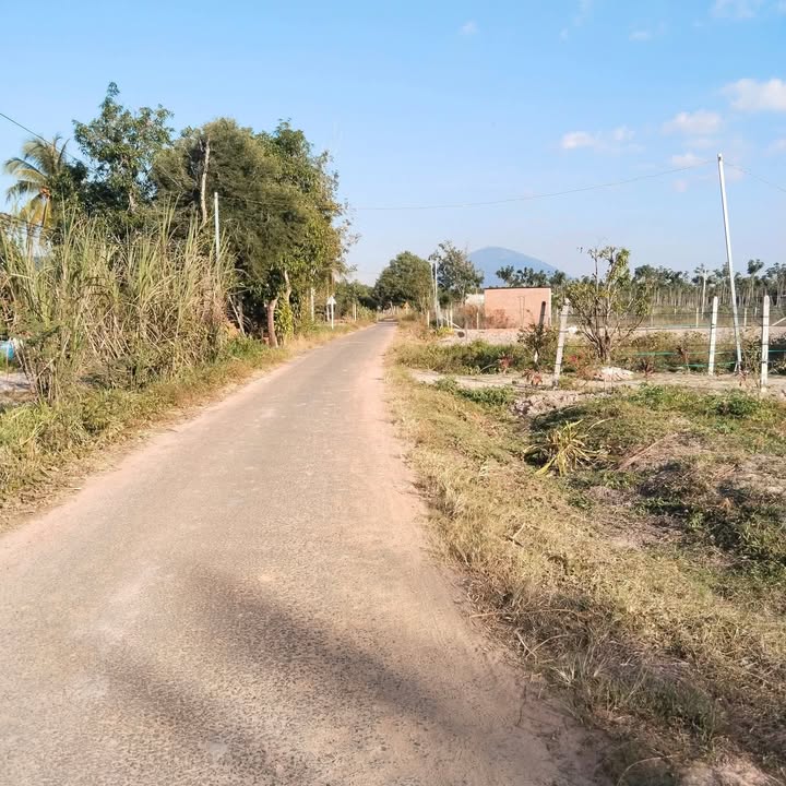 Đất nền ấp Suối Đình, xã Trà Vong, 250m² giá thỏa thuận - Đường nhựa thông tiện lợi!