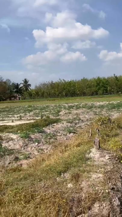 Đất thổ cư 400m² tại Sa Nghe, Châu Thành Tây Ninh - Chỉ 1 tỷ, mặt tiền đường nhựa!