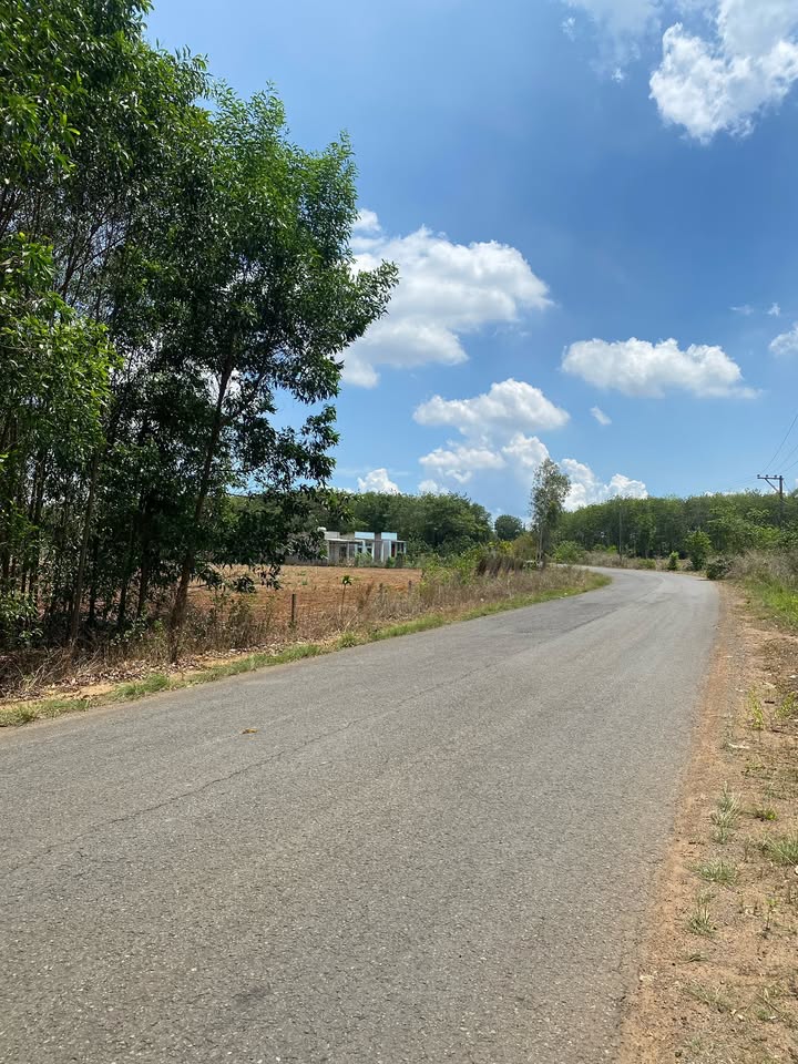 Đất mặt tiền đường Phước Bình, Long Thành 4500m² giá 15.5 tỷ - Cơ hội đầu tư tuyệt vời!