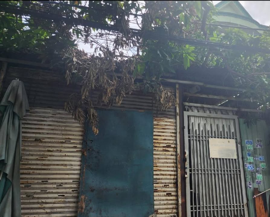 Đất thổ cư Linh Xuân Thủ Đức 130.4m² giá 6.2 tỷ - Đầu tư sinh lời ngay!