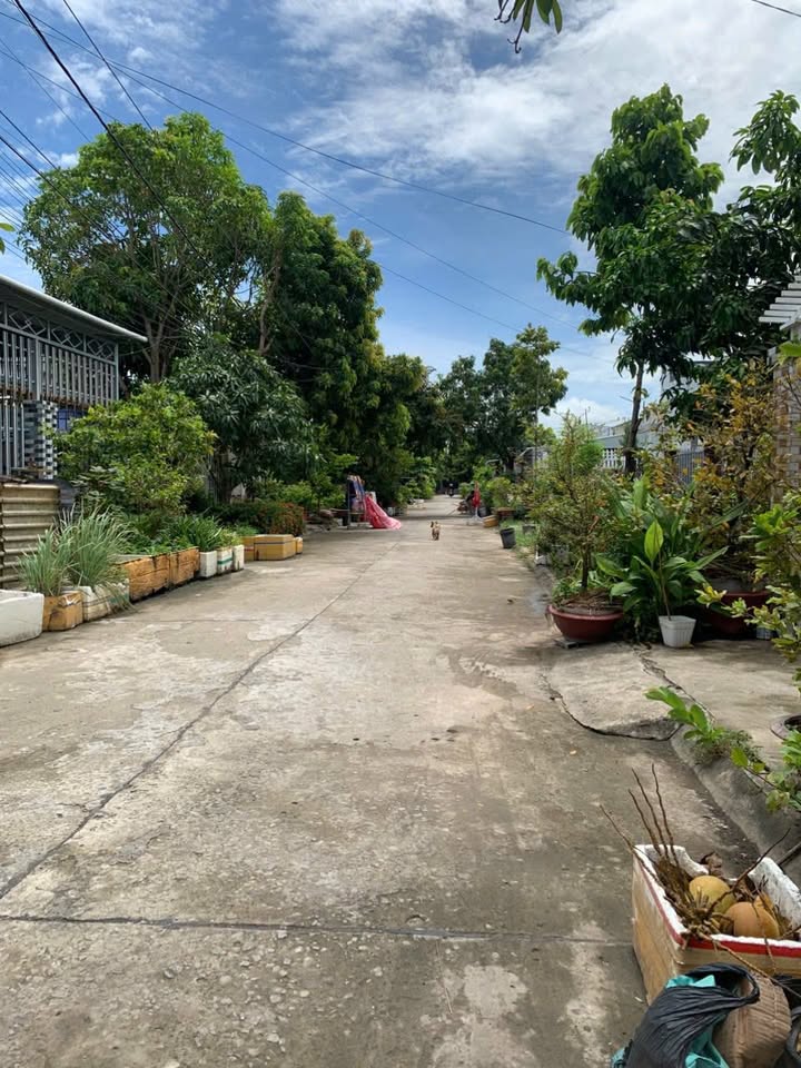 Nhà cho thuê mặt tiền đường Dương Quang Đông, 132m² chỉ 3 triệu/tháng - Không gian thoáng đãng!