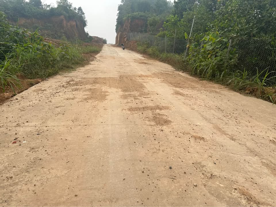 Đất rừng Tam Quan, Tam Đảo 3000m² giá chỉ 720 triệu - Mặt tiền rộng, giao thông thuận lợi!