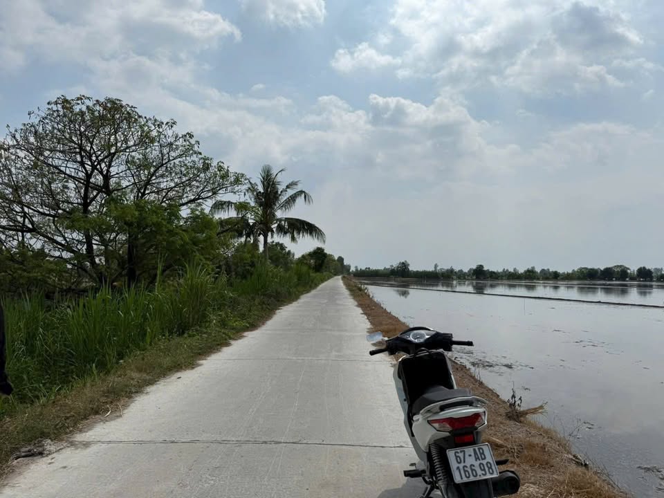 Đất nền Cần Đăng, Châu Thành 4.800m² giá 200 triệu - Tiềm năng phát triển lớn!