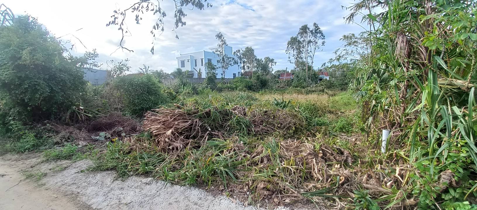 Đất thổ cư Hòa Hiệp Nam 372m² giá thỏa thuận - Cơ hội đầu tư hấp dẫn!