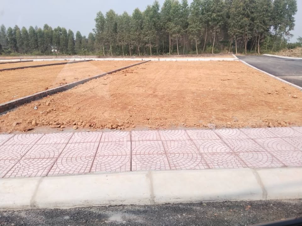 Đất vườn Yên Sơn Đô Lương 100m² giá tốt - Đầu tư sinh lời ngay!