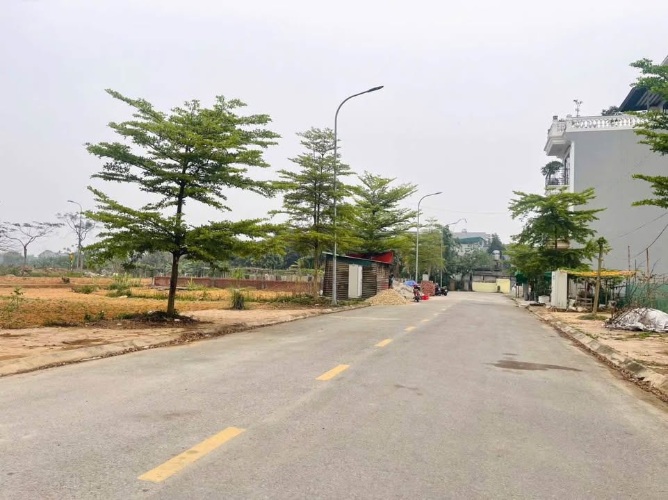 Đất nền KĐT Đồng Đè Chảy Thanh Miếu 68.7m² giá 3.05 tỷ - Cơ hội đầu tư hấp dẫn!