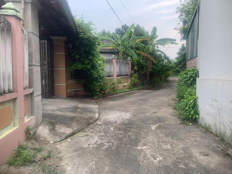 Đất thổ cư Hương Sơn, Bình Xuyên 93.9m² giá chỉ 700 triệu - Cơ hội đầu tư tuyệt vời!