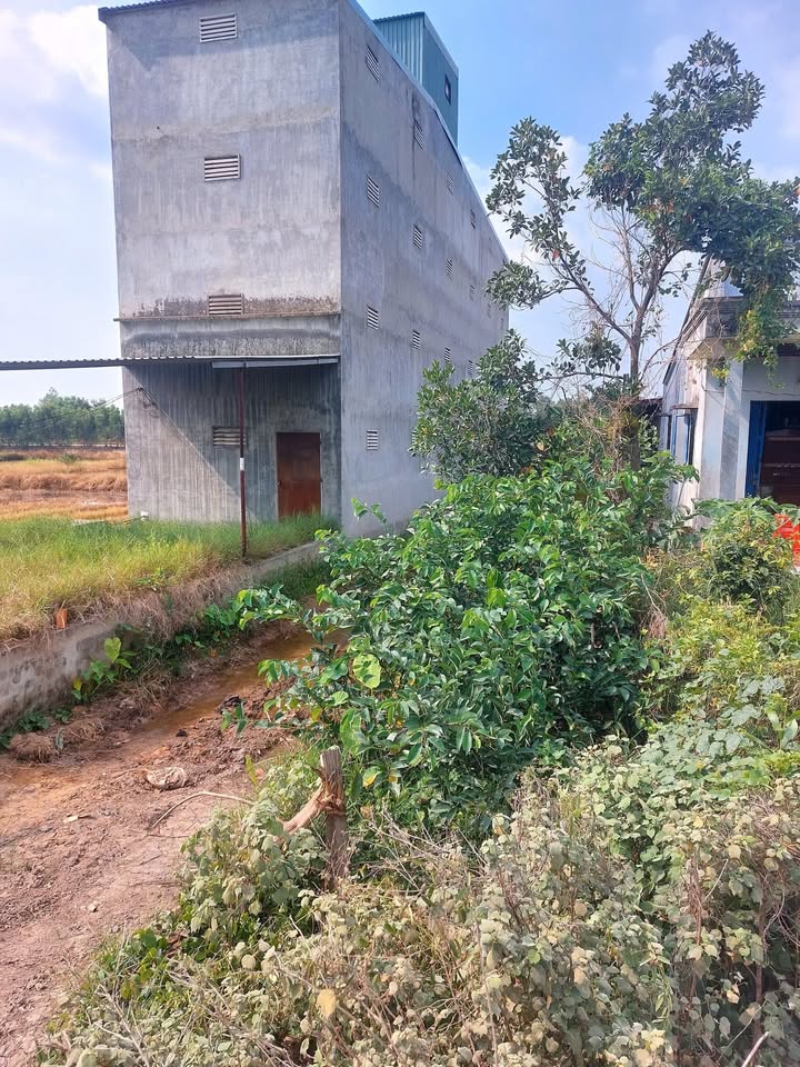 Đất thổ cư Hòa Khánh Tây, Đức Hòa, Long An 178m² giá 1 tỷ - Cần bán gấp!