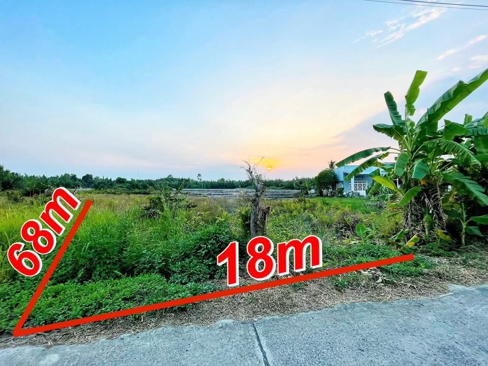 Đất nền Hiệp Phước 1250m² giá 3.8 tỷ - Sổ riêng, mặt tiền đường xe hơi!