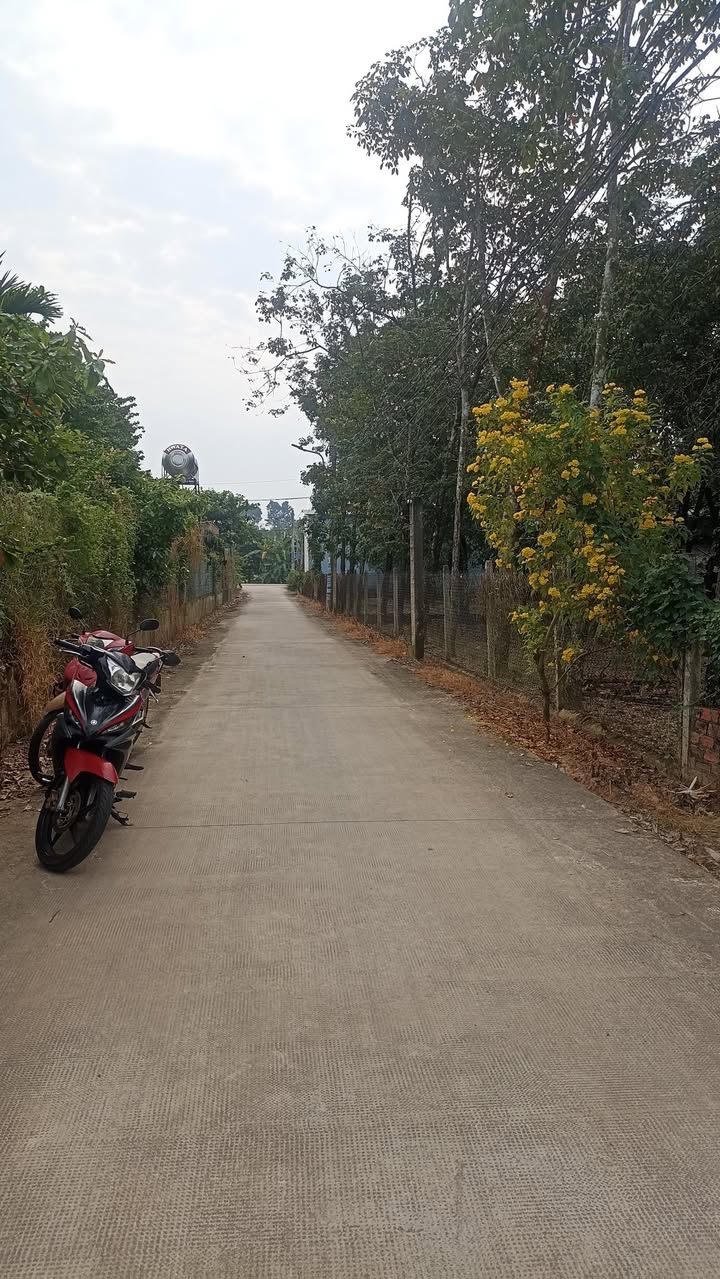 Đất thổ cư Chánh Phú Hòa Bến Cát 180m² giá 1.2 tỷ - Hạ tầng hoàn thiện!