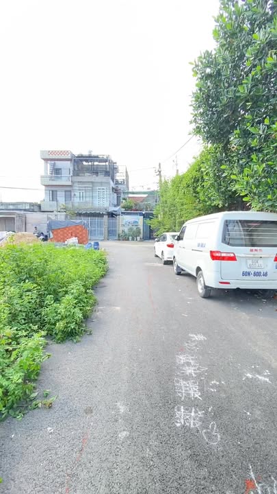 Đất sổ hồng riêng 100m² tại Thới Tam Thôn, Hóc Môn - Giá 2.5 tỷ, thương lượng ngay!