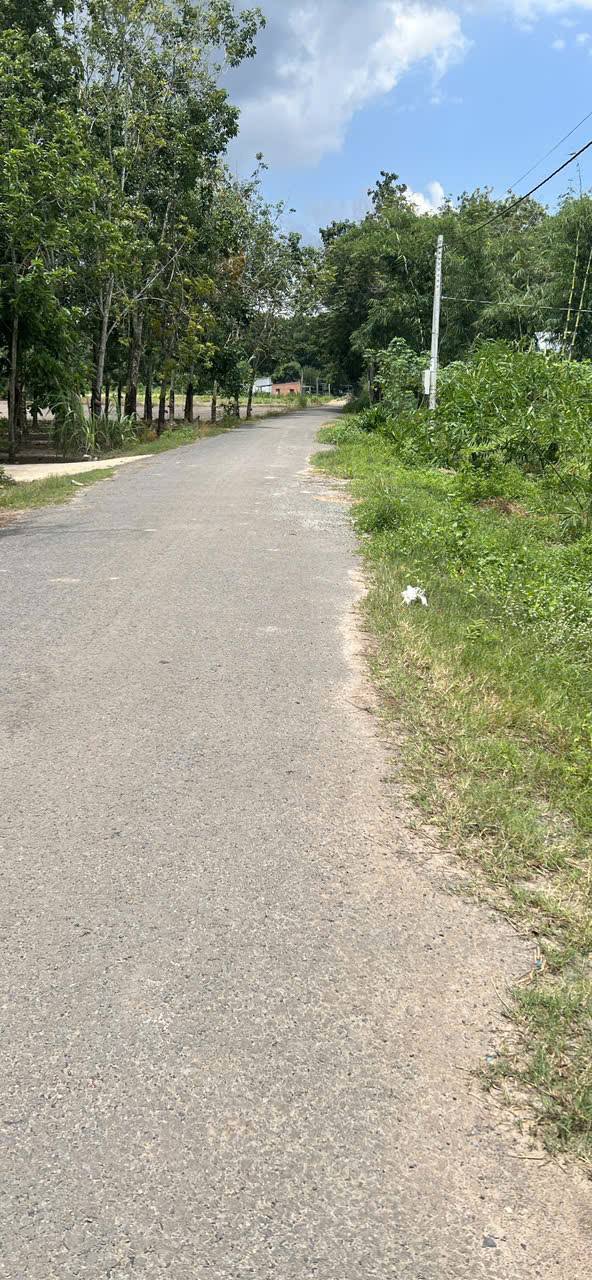 Đất thổ cư mặt tiền đường nhựa Phước Minh 500m² giá 3.45 tỷ - Đầu tư sinh lời ngay!