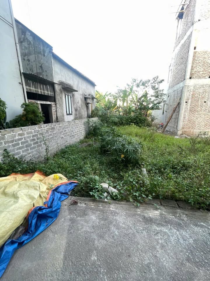 Đất nền Hồng Vân Thường Tín 42m² giá 3.05 tỷ - Tiện ích xung quanh phong phú!