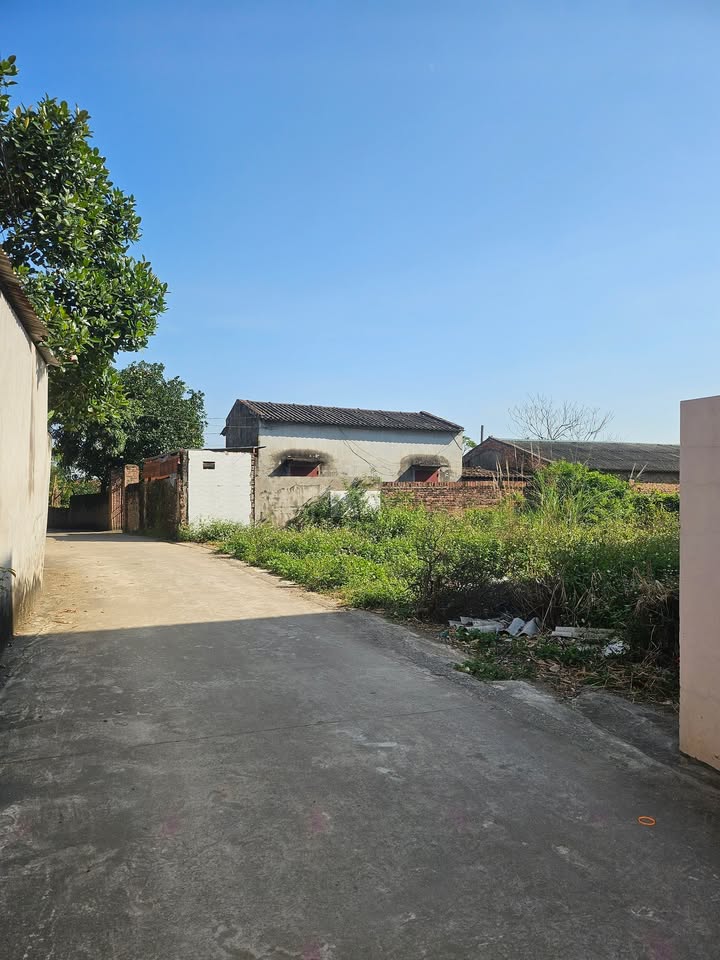 Đất nền Yên Lư, Yên Dũng 117m² giá 1.65 tỷ - Tiềm năng đầu tư lớn!