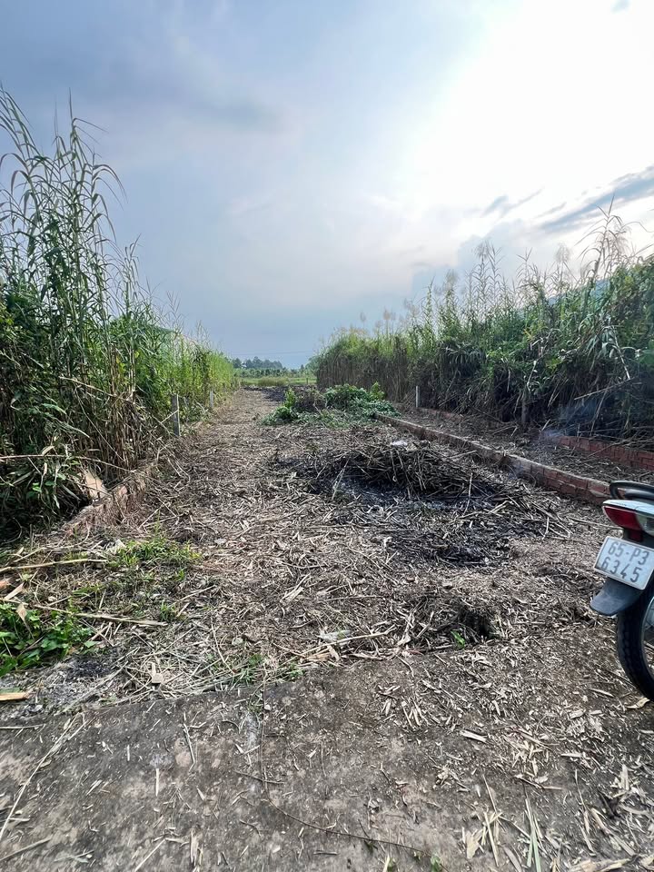 Đất nền Long Tuyền, Cần Thơ 352m² giá 799 triệu - Nở hậu đẹp thuận lợi xây dựng!