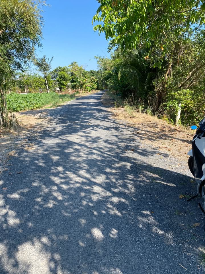 Đất vườn mặt tiền 25m tại Mỹ Quý, Long Xuyên 2700m² - Cơ hội đầu tư tuyệt vời!